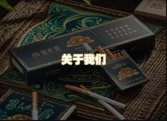 关于我们